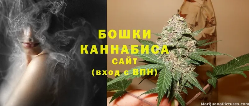 Канабис White Widow  хочу   Покров 